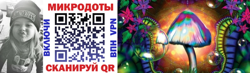 Купить  Шимановск  Псилоцибиновые грибы Psilocybine cubensis 
